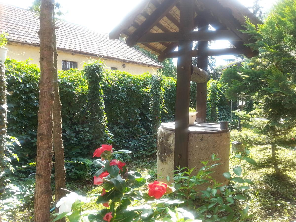 Felso Fogado Bed & Breakfast Felsotold Exterior photo