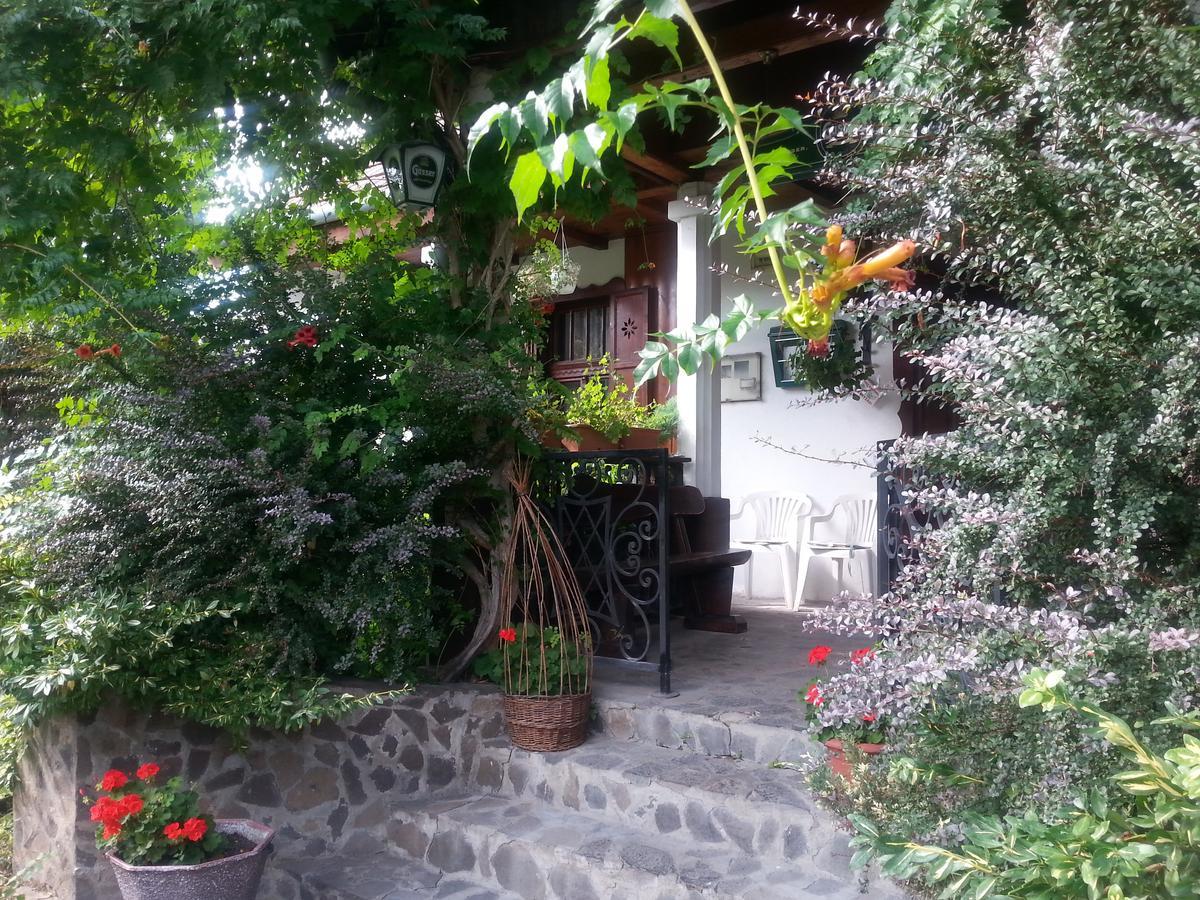 Felso Fogado Bed & Breakfast Felsotold Exterior photo